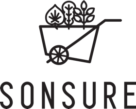 SONSURE